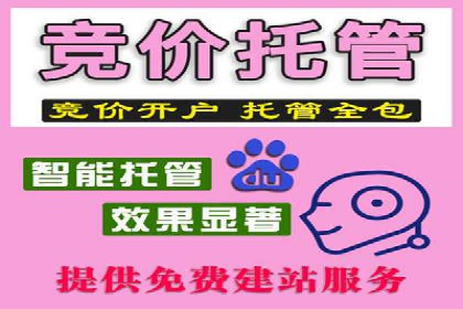 揭秘百度竞价广告收费模式——以某行业为例